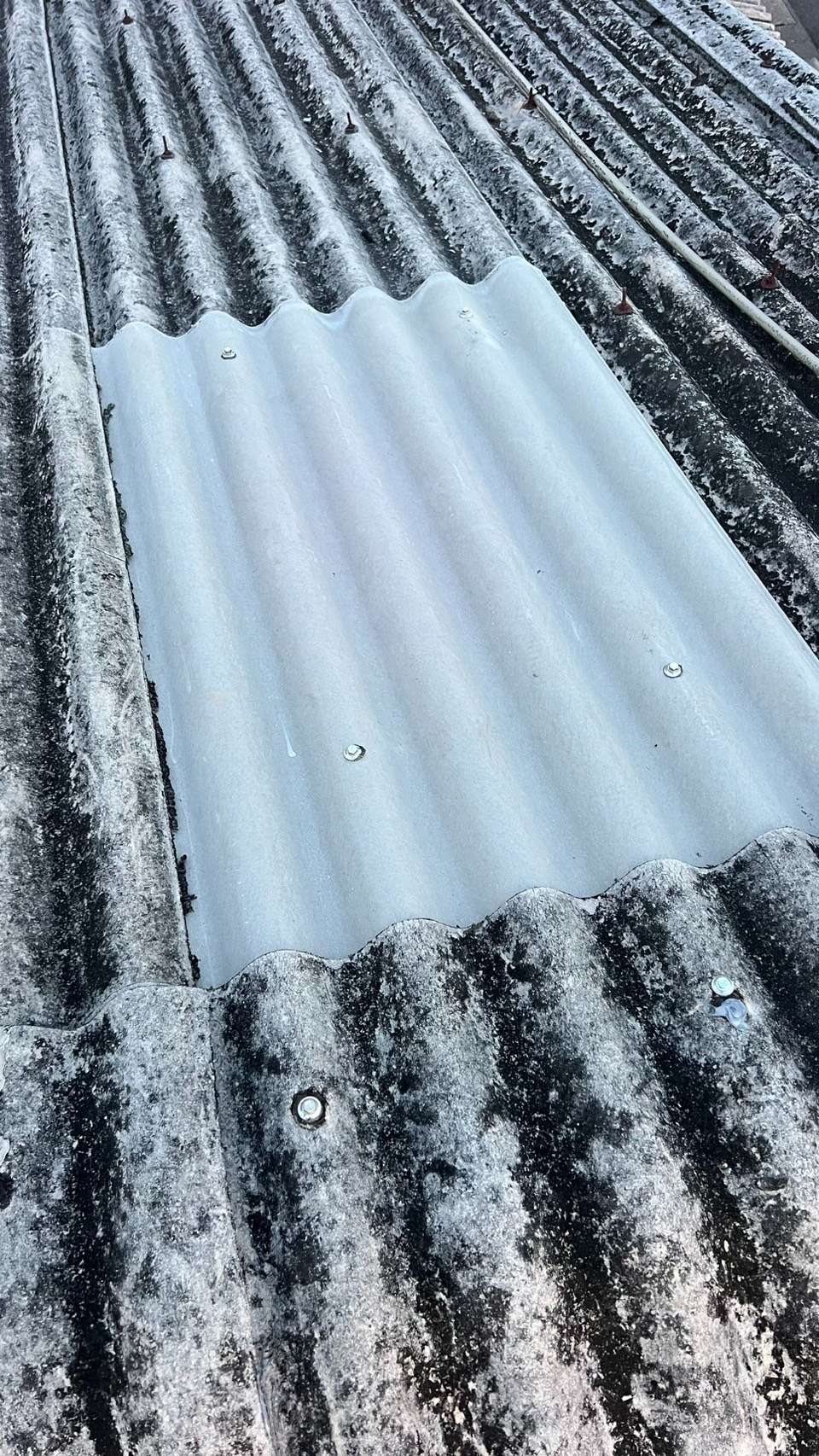 2026年3/19 小さな修繕もよろこんで!