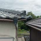 2026年7/23　酷暑が続いています！！　